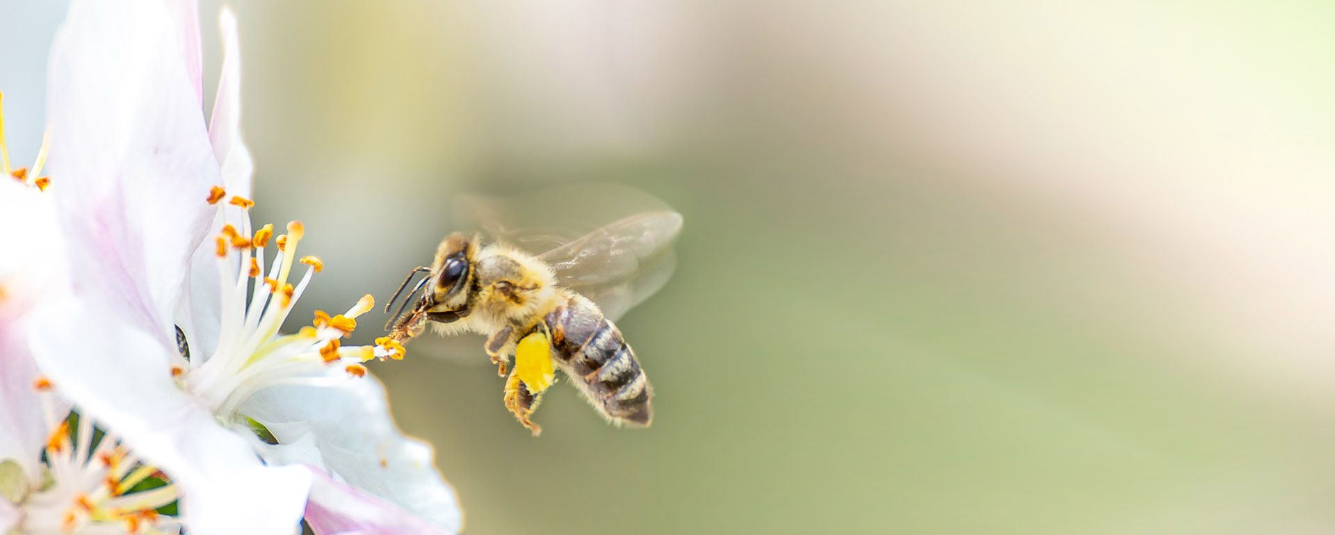 Hero-LG Vacature 03.jpg