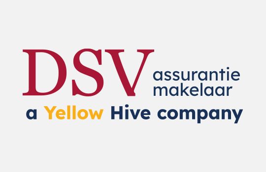 540x350_logo_DSV.jpg