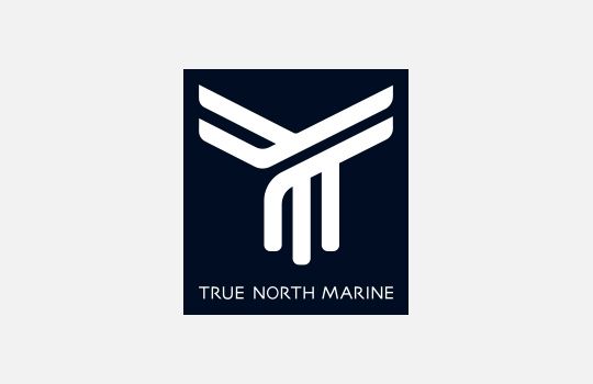 540x350_logo_True North.jpg