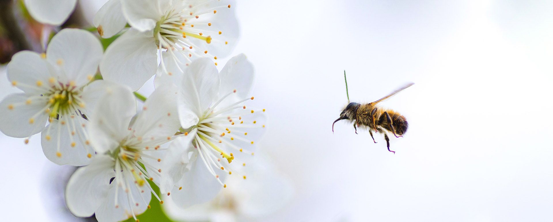 Hero-LG Vacature 09.jpg