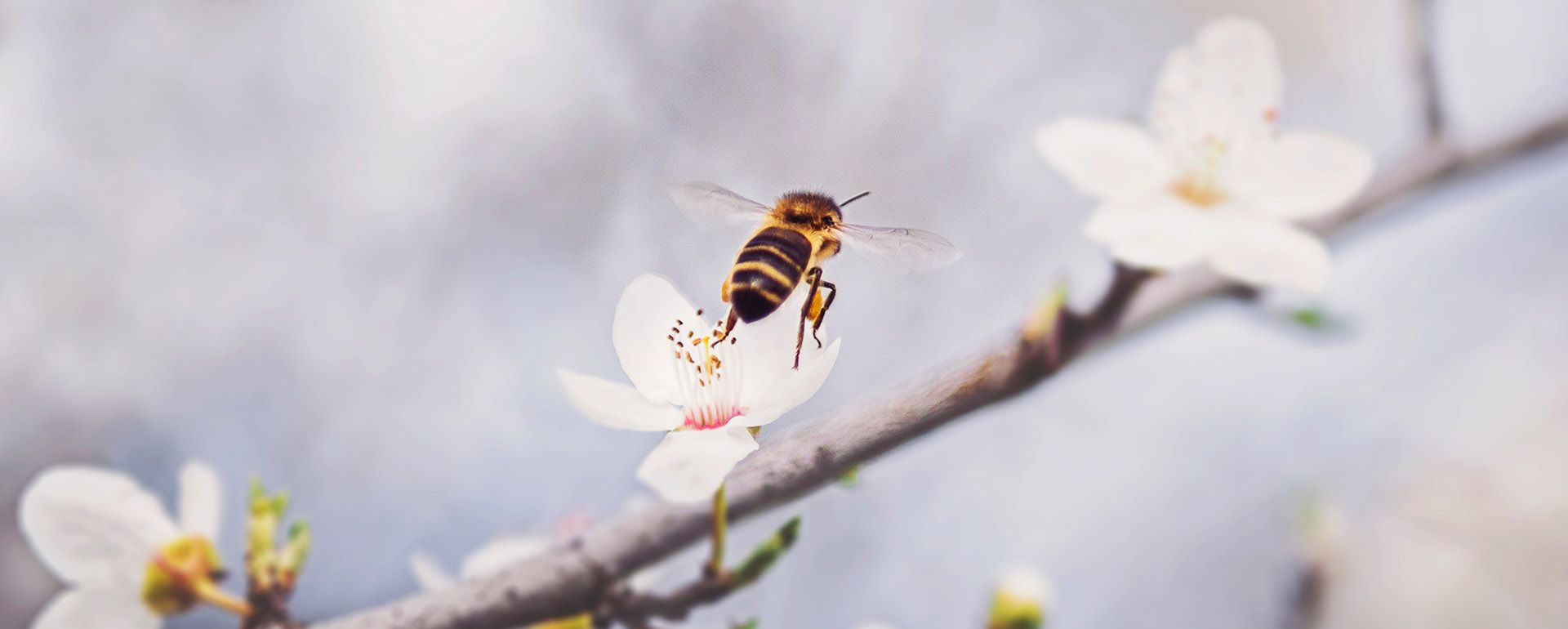 Hero-LG Vacature 10.jpg