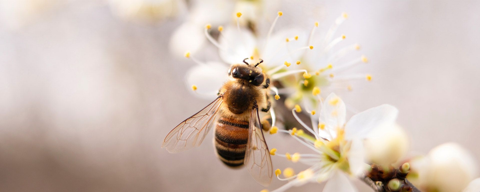 Hero-LG Vacature 08.jpg