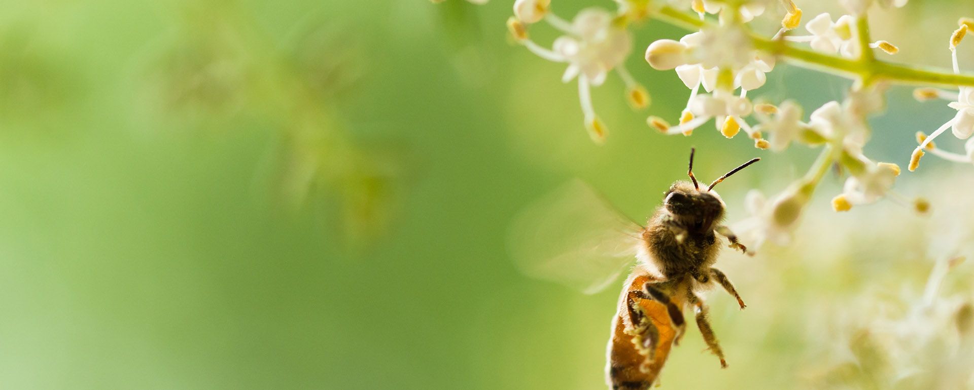 Hero-LG Vacature 06.jpg