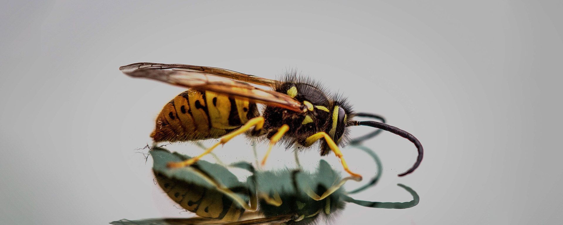 Hero-LG Vacature 00.jpg