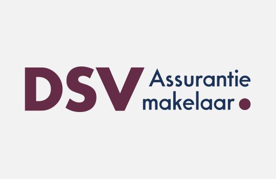 540x350_logo_DSV.jpg