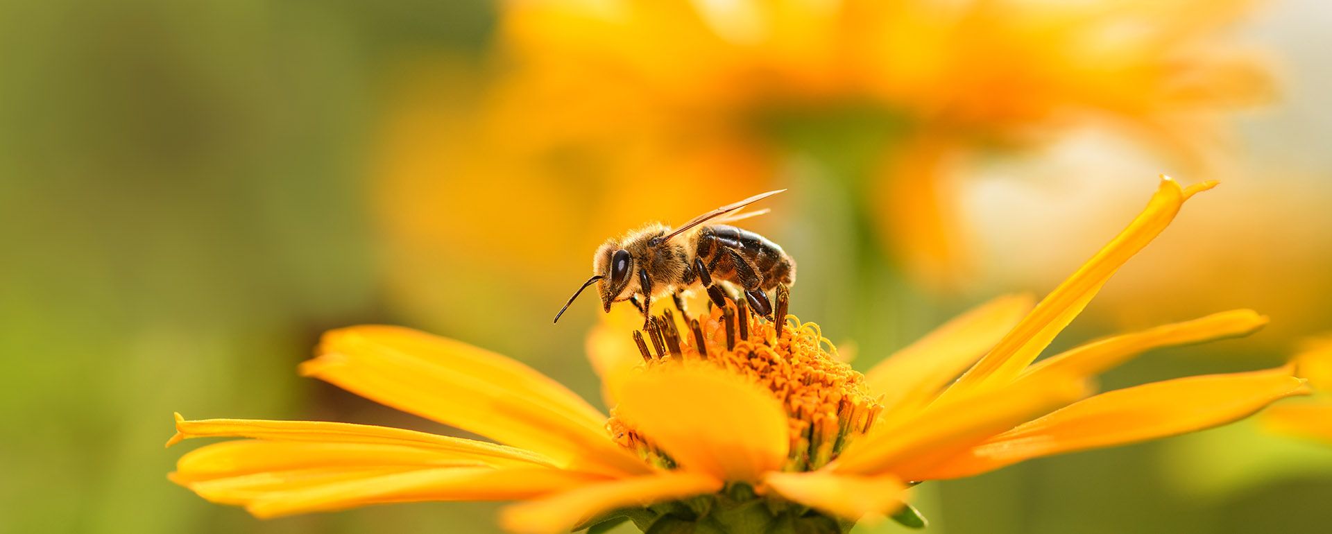 Hero-LG Vacature 01.jpg